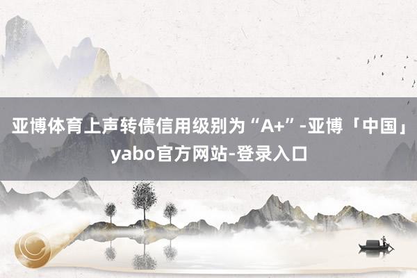 亚博体育上声转债信用级别为“A+”-亚博「中国」yabo官方网站-登录入口