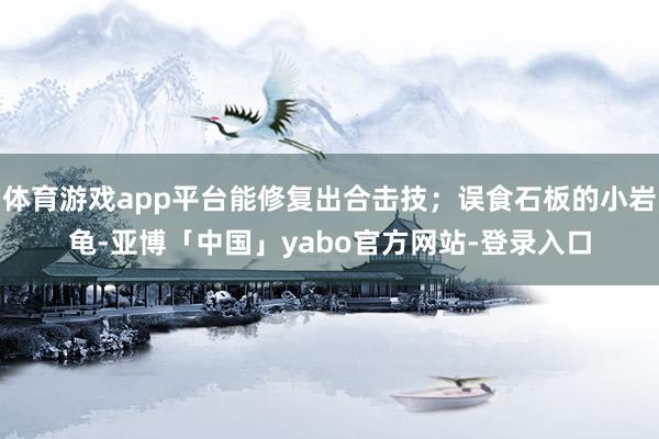 体育游戏app平台能修复出合击技；误食石板的小岩龟-亚博「中国」yabo官方网站-登录入口