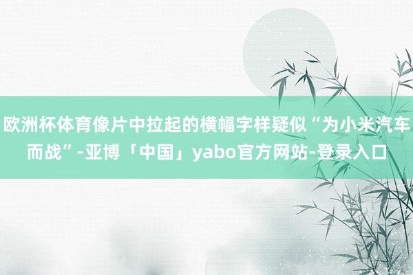 欧洲杯体育像片中拉起的横幅字样疑似“为小米汽车而战”-亚博「中国」yabo官方网站-登录入口
