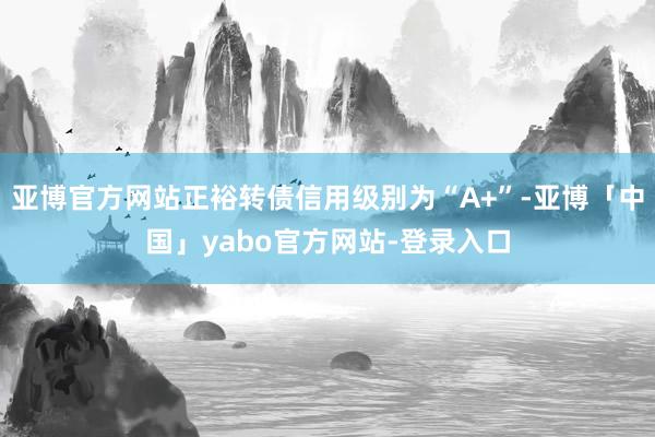 亚博官方网站正裕转债信用级别为“A+”-亚博「中国」yabo官方网站-登录入口
